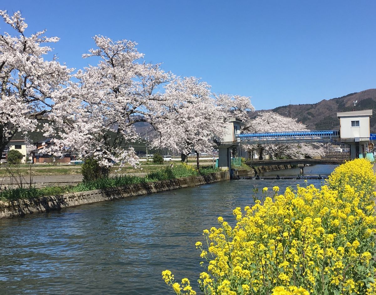 🧊余呉湖🧊

滋賀県にある湖なら琵琶湖が圧倒的に知名度が高いですが、琵琶湖...
