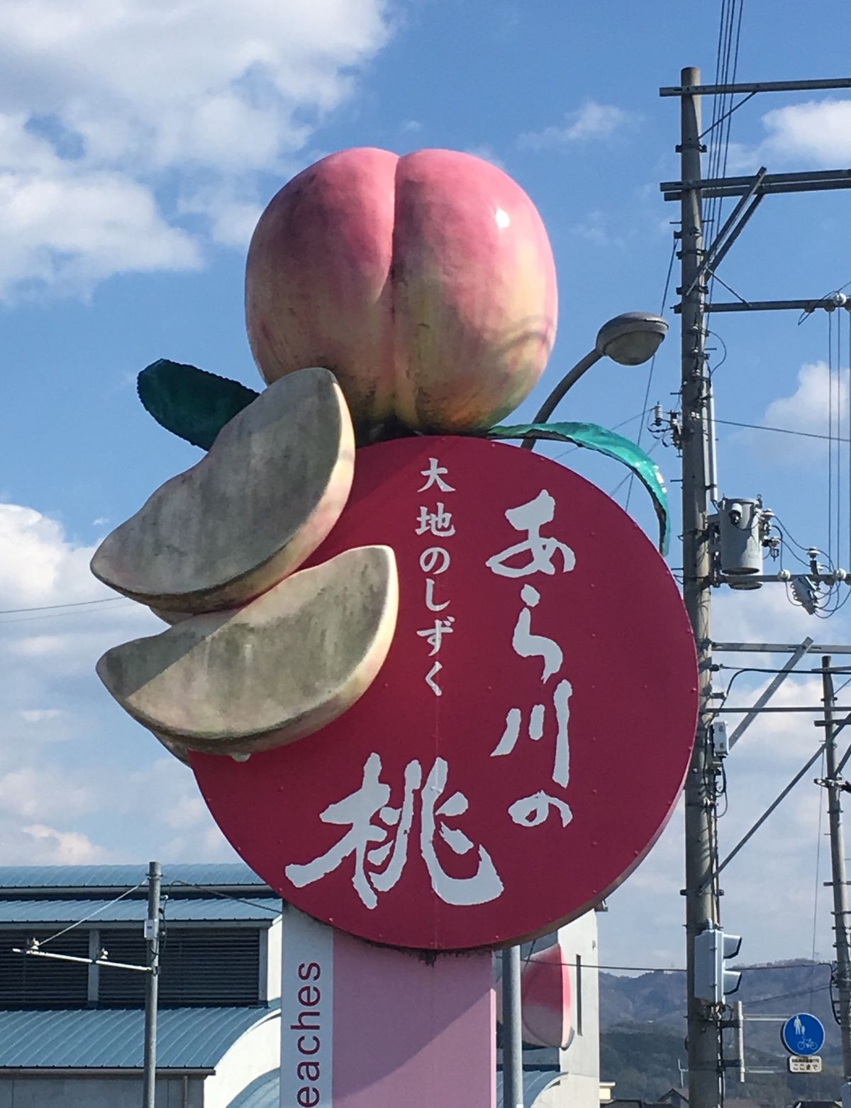🌸あら川の桃🌸

和歌山駅から乗り換えて下井阪という駅から徒歩20分ほどの...