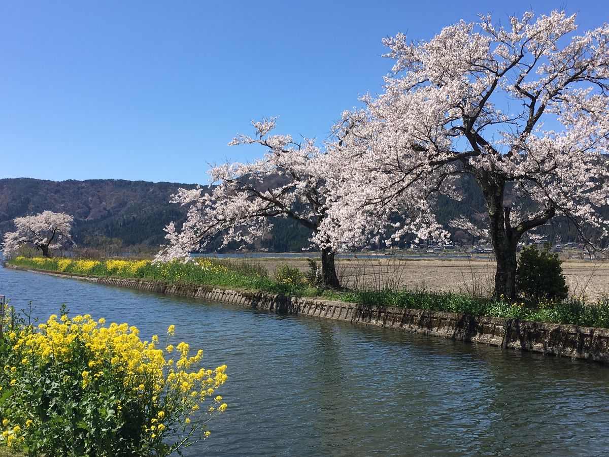 🧊余呉湖🧊

滋賀県にある湖なら琵琶湖が圧倒的に知名度が高いですが、琵琶湖...