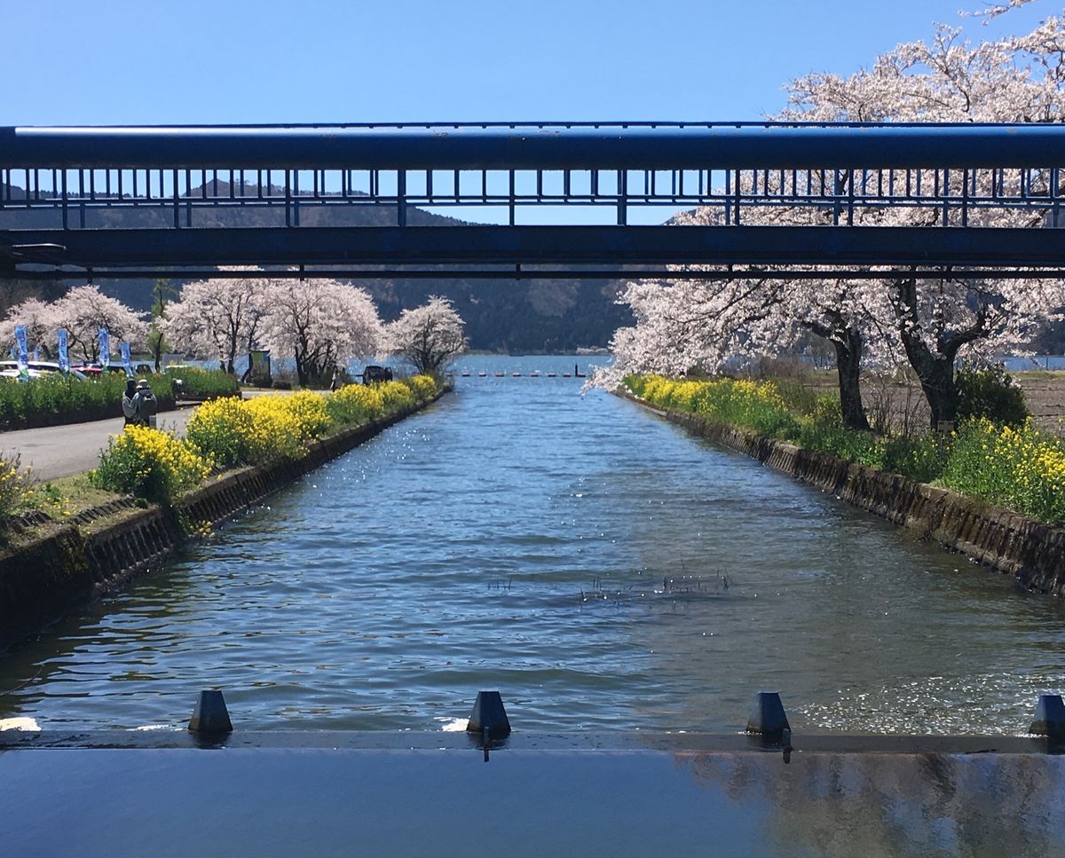 🧊余呉湖🧊

滋賀県にある湖なら琵琶湖が圧倒的に知名度が高いですが、琵琶湖...