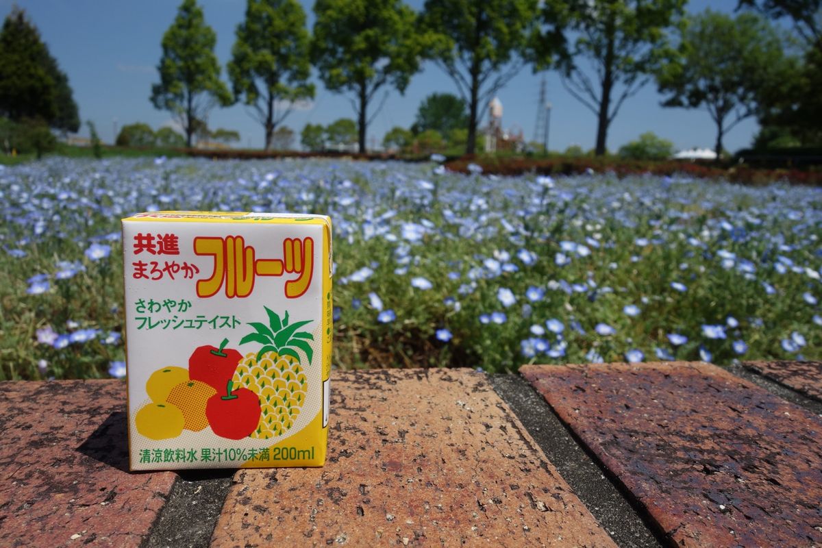 🌻ひまわりの丘公園🌻

兵庫県小野市にあるひまわりの丘公園はひまわりも素敵...