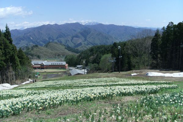 日本・群馬県水上「20120505群馬県上牧駅」の写真