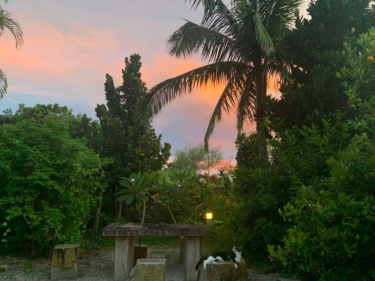 のんびりリフレッシュのひとり旅