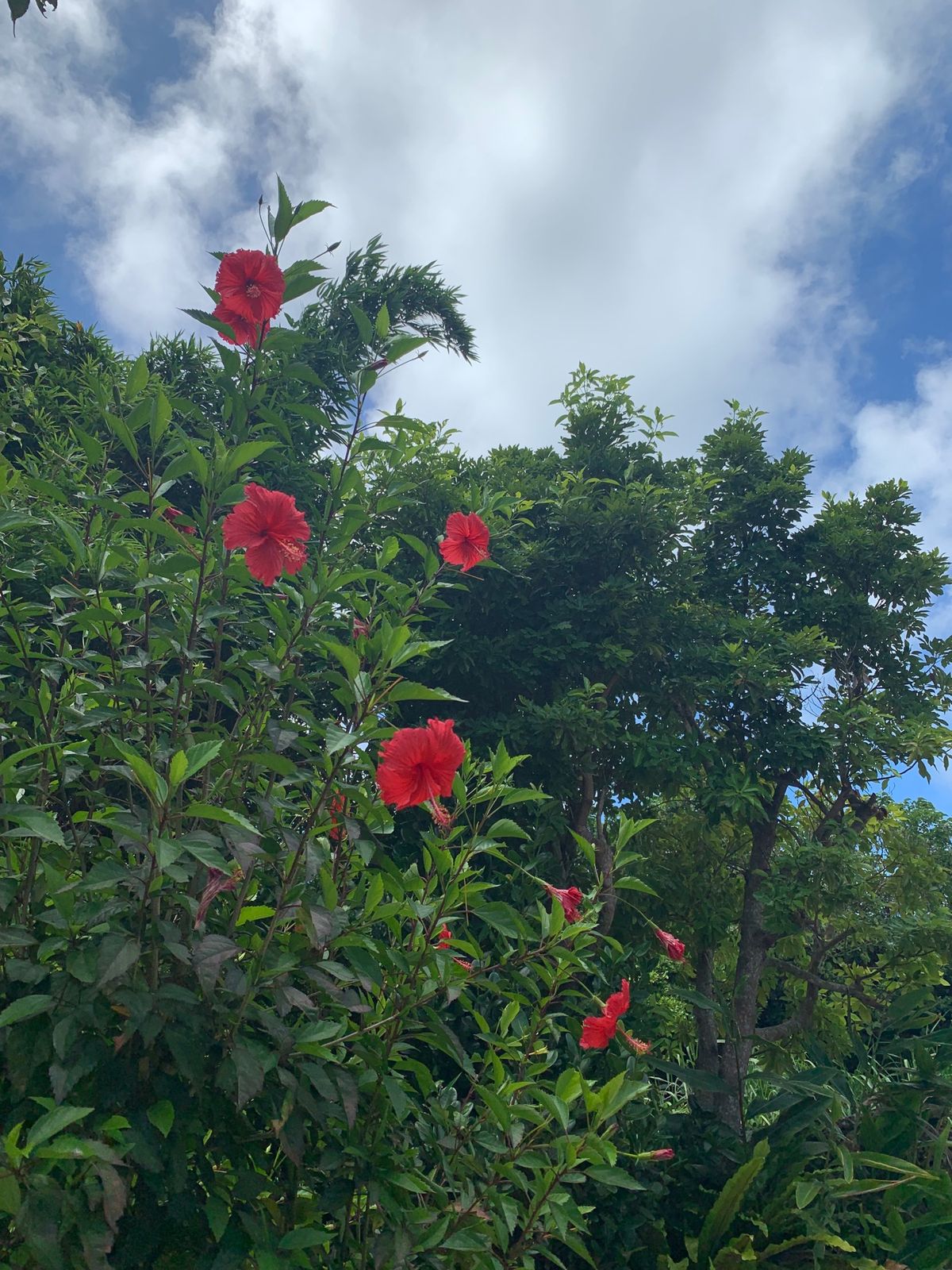 のんびりリフレッシュのひとり旅