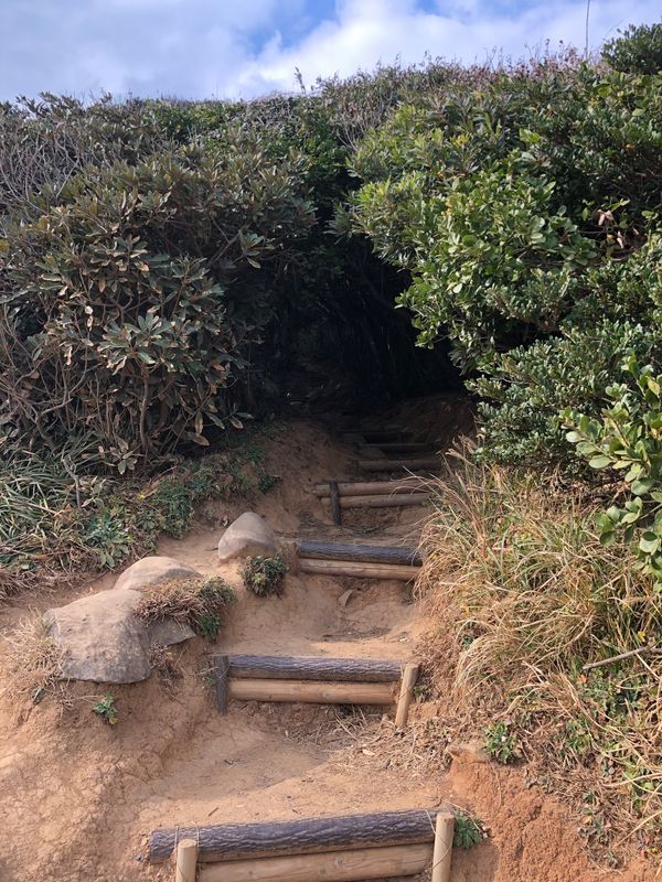 日本・福岡県「福岡」の写真
