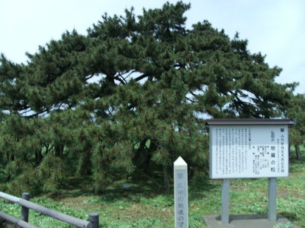 日本・山形県庄内「20130601山形県余目駅」の写真