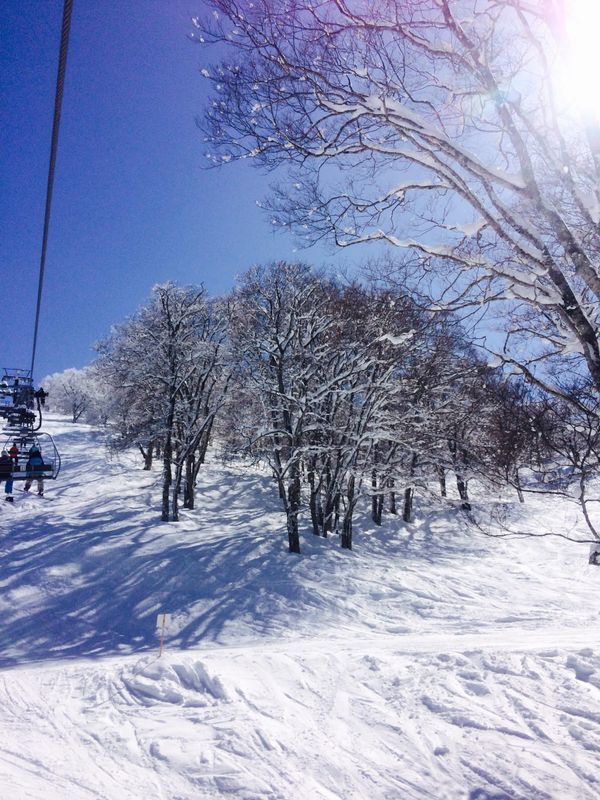 日本・長野県「野沢温泉1」の写真