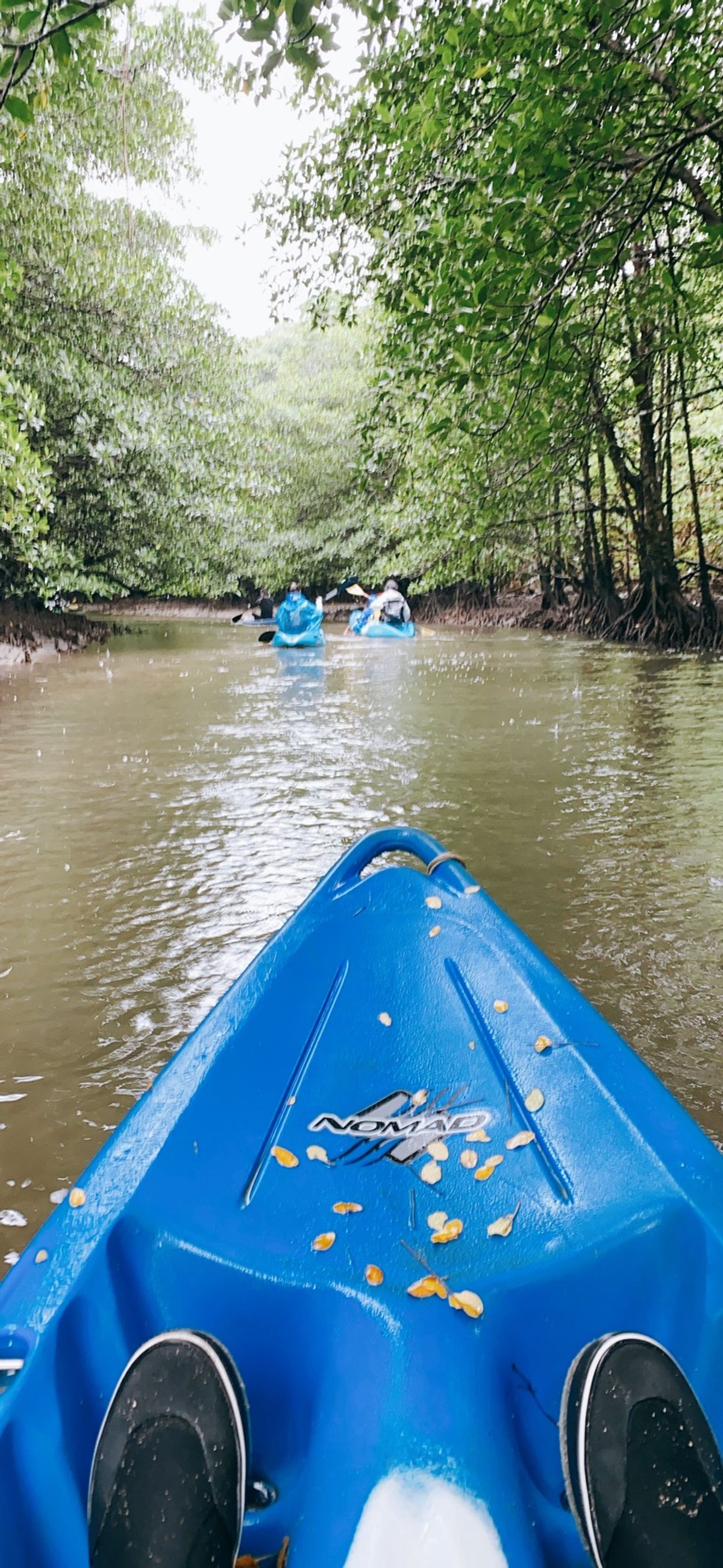 川平湾、石垣島最北端、竹富島、西表島でのカヌー体験🛶