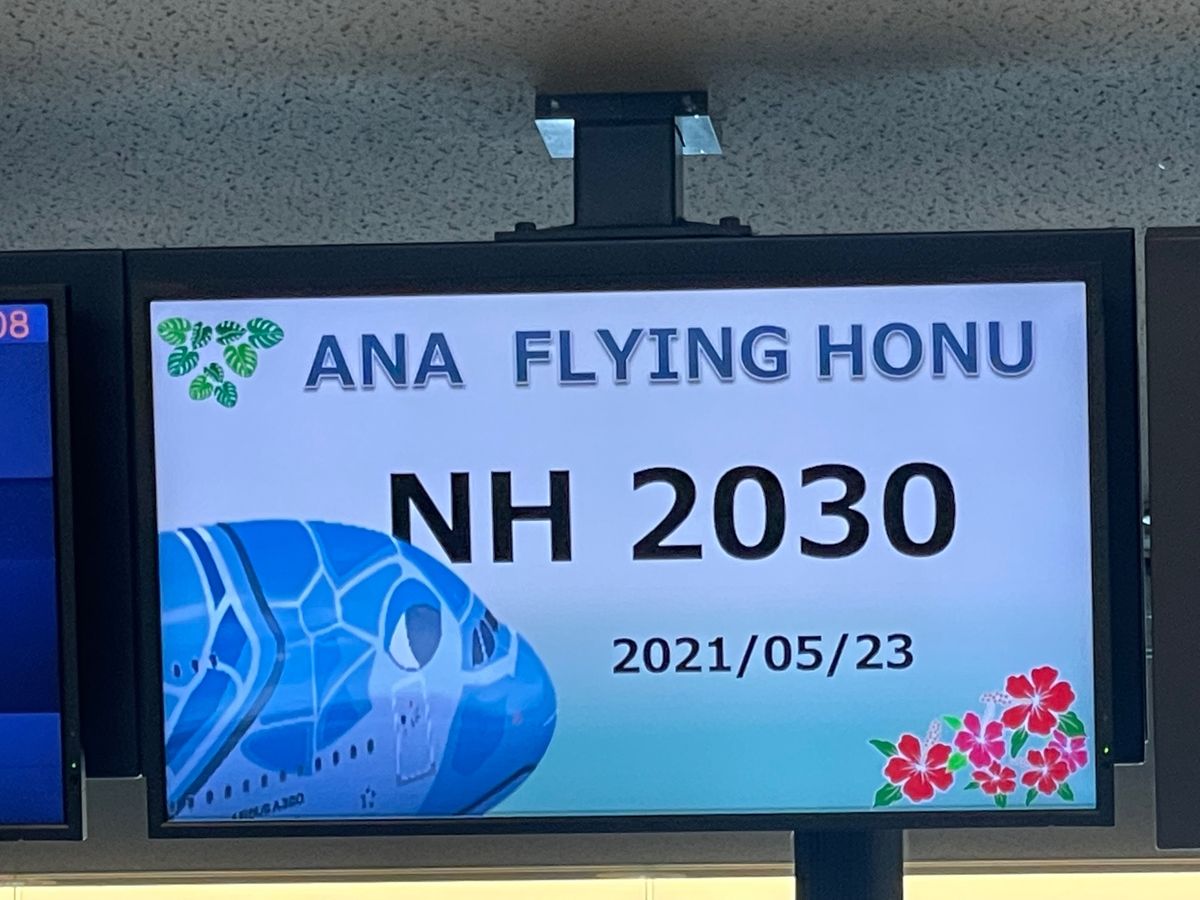 機内食はPYの物でした。