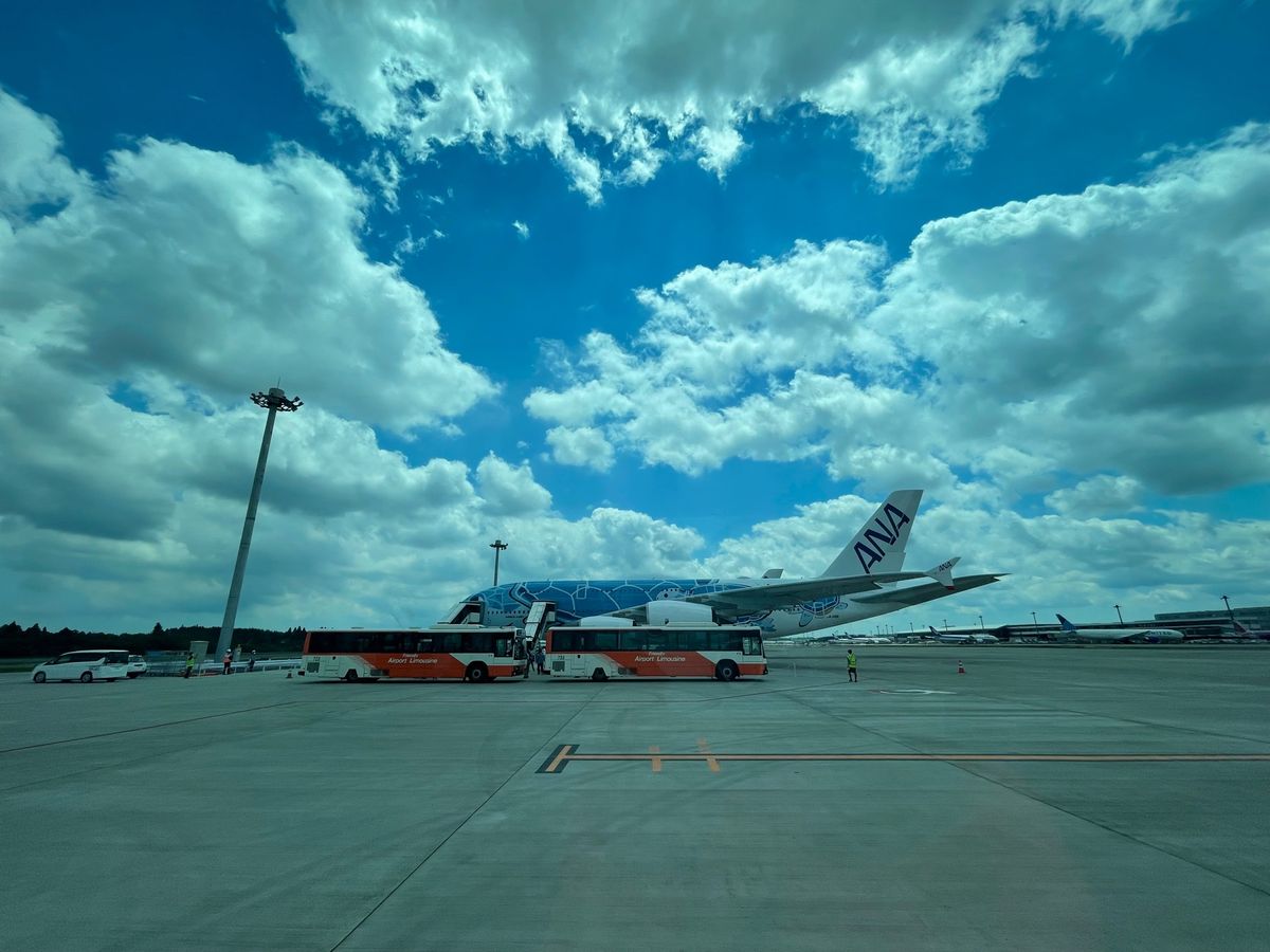 機内食はPYの物でした。