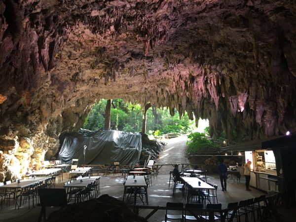 日本・今帰仁村「沖縄　2018年お正月」の写真