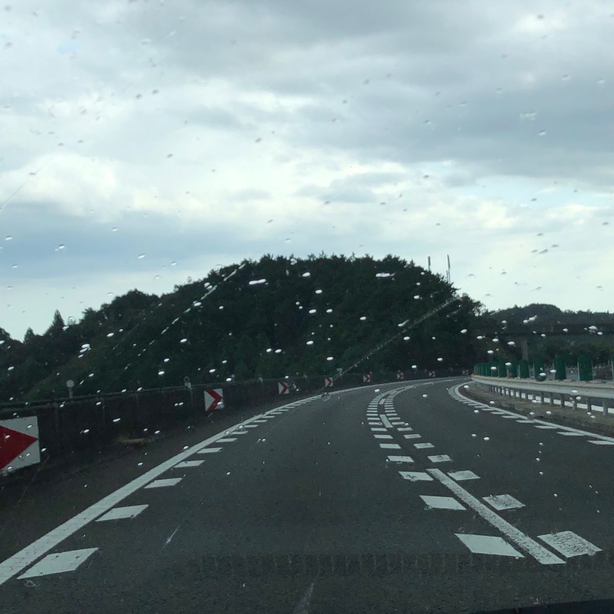 高知道はいつも雨〜☔️

塩たたき
茄子のたたき←高知の郷土料理
土佐ジロー焼き