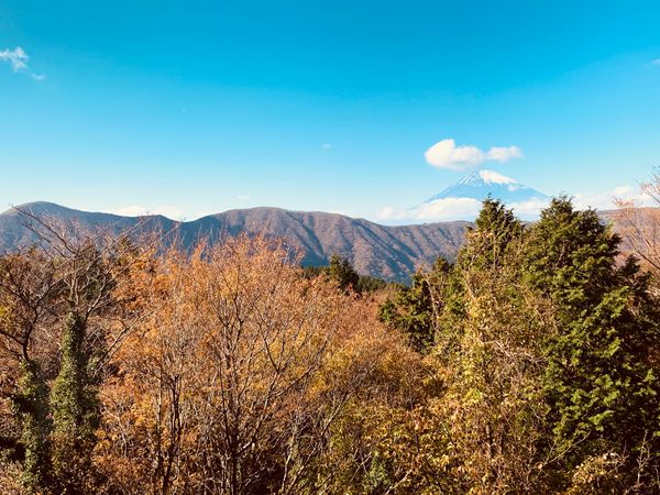 日本・神奈川県「箱根旅行」の写真