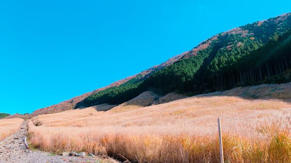 日本・神奈川県「箱根旅行」の写真