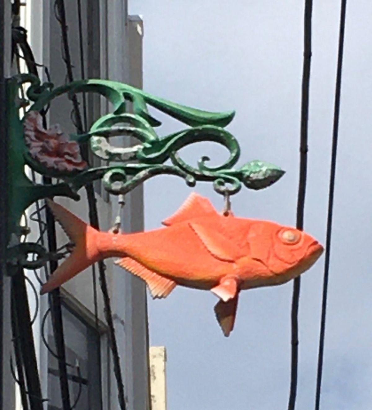 🌸伊豆稲取🌸

駅から徒歩15分程度のところにひなまつり会場があります
二...