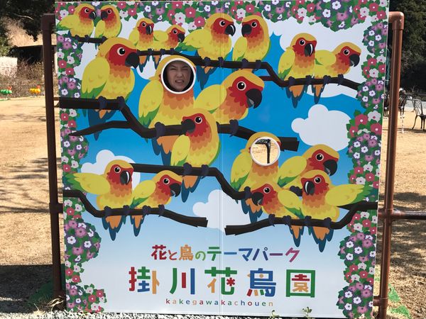 日本・愛知県「愛知旅行」の写真