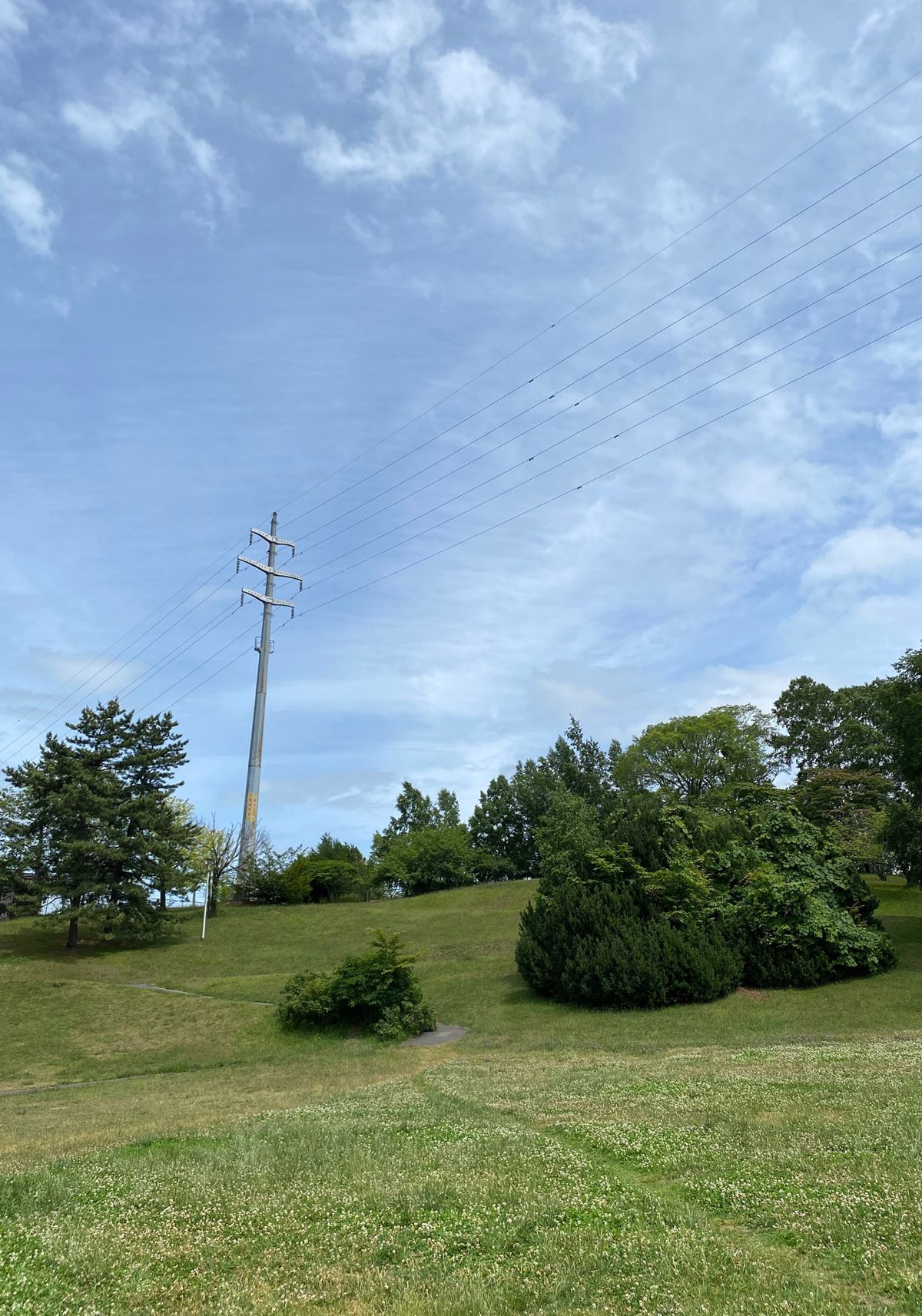 今回ももちろん行ってきました。
平岸高台公園。
藩士ですもの。
新しく出来...