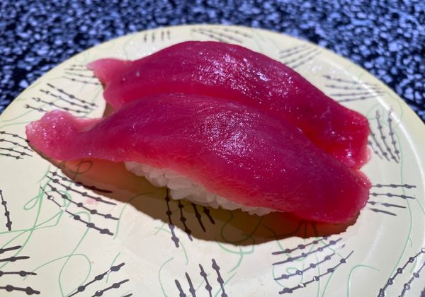 日本・北海道「ちょっと北海道」の写真：着いたらまずはお寿司。
根室花まるさんで...