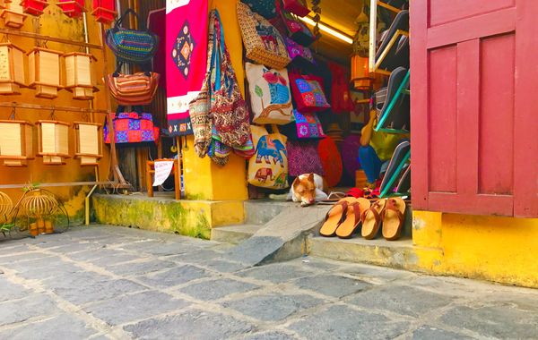 ベトナム・ハノイ「Vietnam🇻🇳job⚑⁎∗」の写真：16th Mar. 2017 pic📷
...