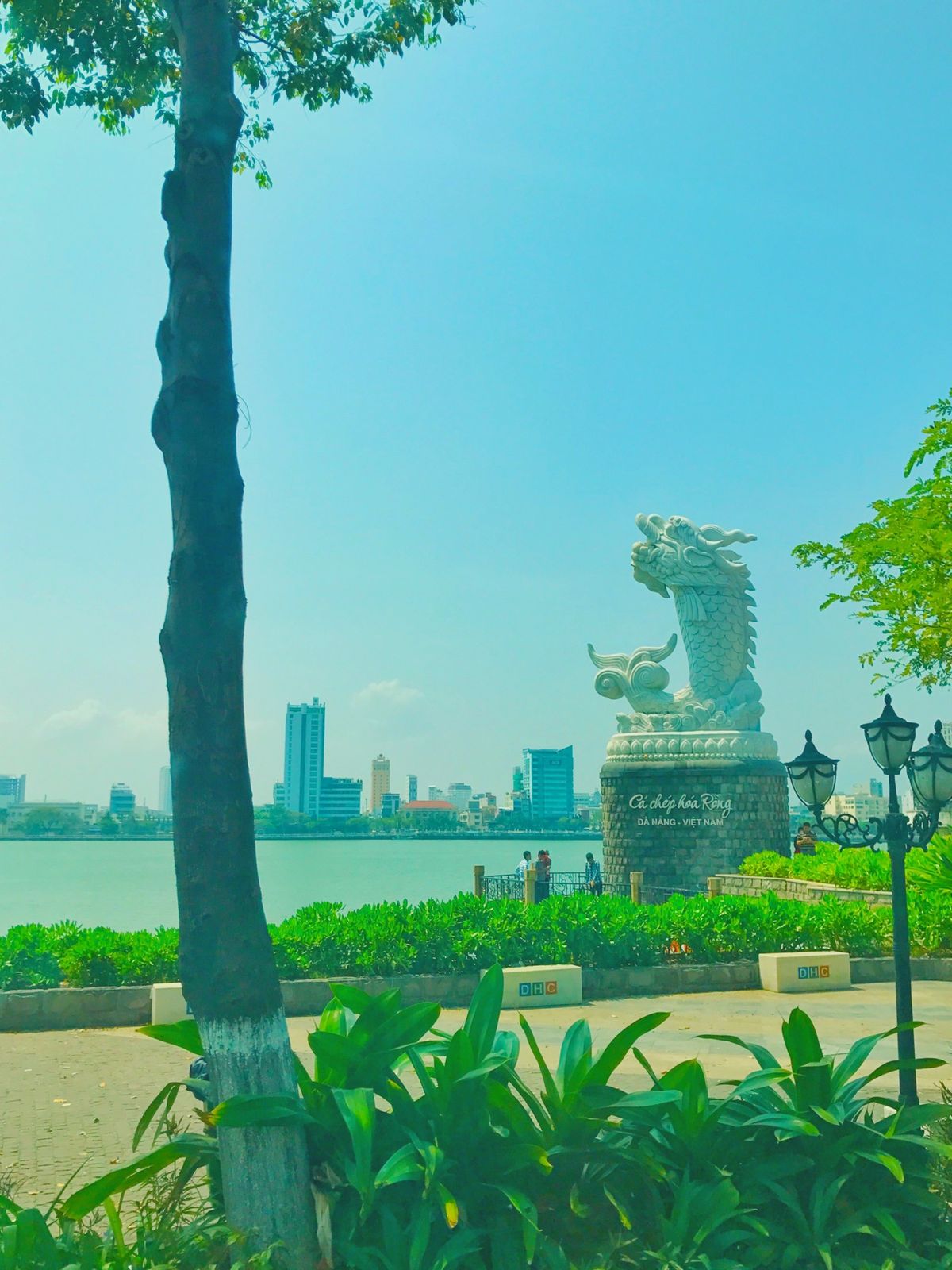 15th Mar. 2017 pic📷

Cá Chép Hóa Rồng...