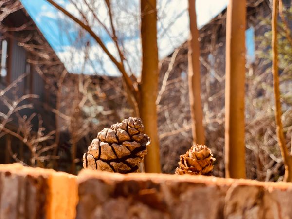 日本・長野県「星野リゾート　BEB軽井沢」の写真