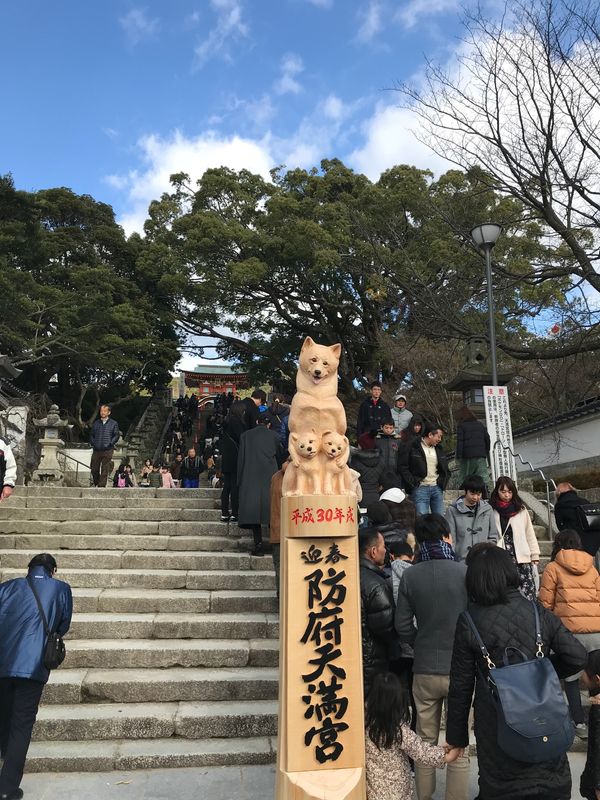 日本・山口県「2018初詣」の写真