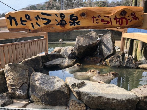 日本・兵庫県「姫路」の写真