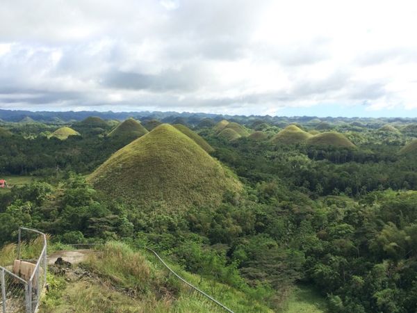 フィリピン・セブ「フィリピン旅行」の写真