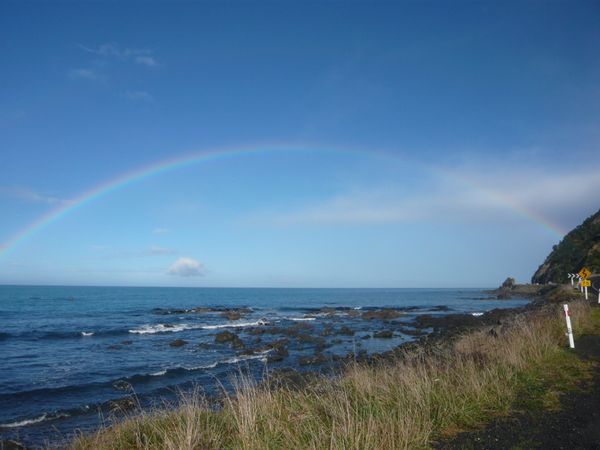 ニュージーランド・クライストチャーチ「ニュージーランドお仕事」の写真