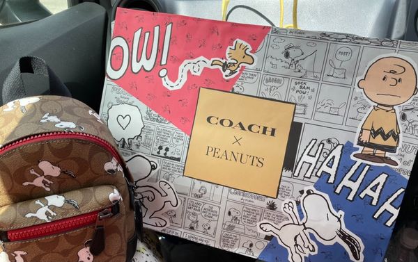 日本・沖縄「沖縄」の写真