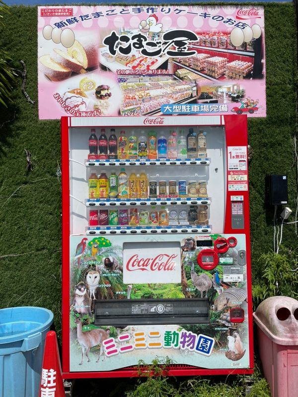 日本・沖縄「沖縄」の写真