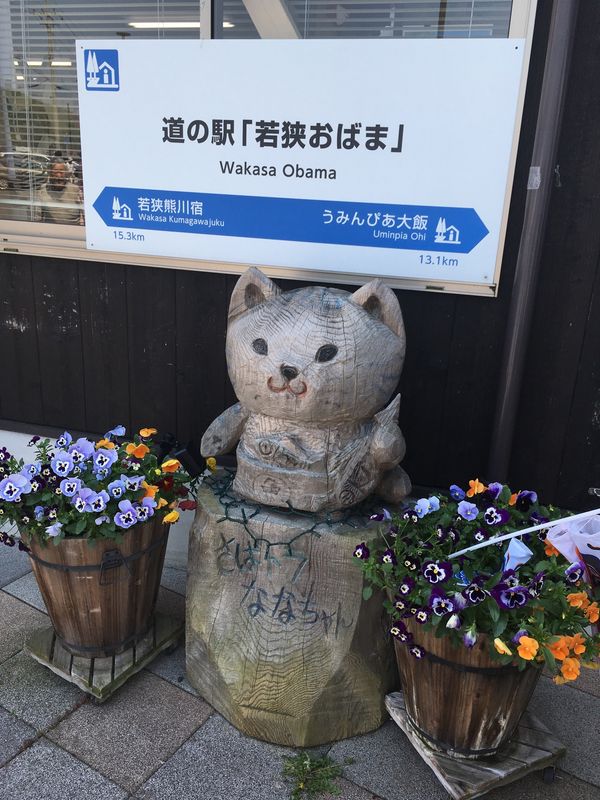 日本「キャンピングカー旅行」の写真：行きは日本海側を帰りは太平洋側。
京都〜...