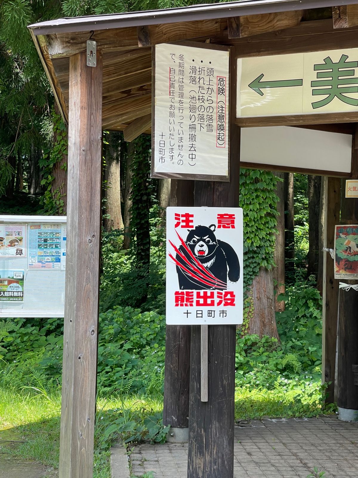 美人林

ブナの木が立ち並ぶ

舗装されてない道もズンズン進んでいけます。...