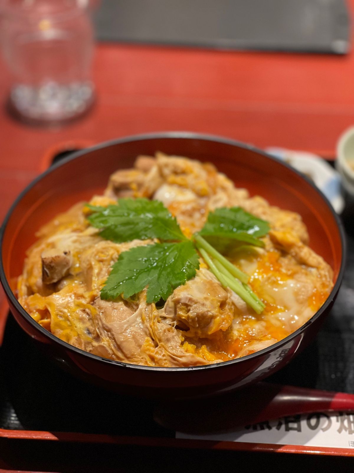 越後湯沢の駅までレンタカーでもどり親子丼

東京に帰りまーす！

ところで...