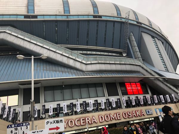 日本・大阪府「星野源 DOME TOUR 2019『POP VIRUS』」の写真