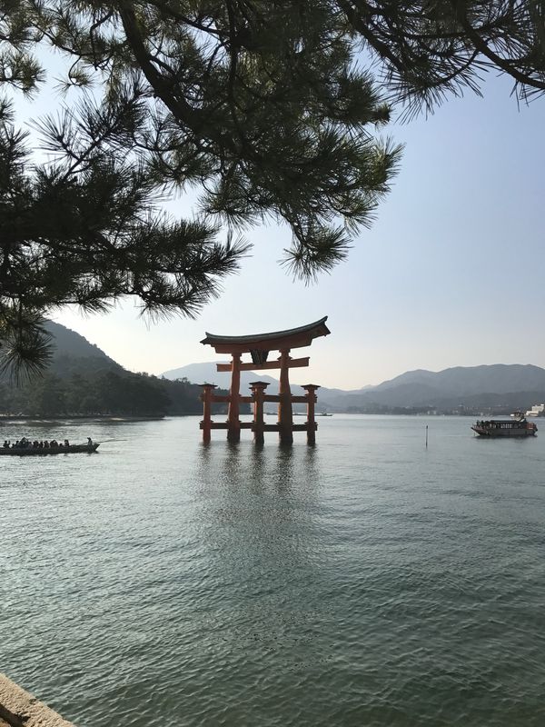 日本・広島県「宮島、厳島神社」の写真