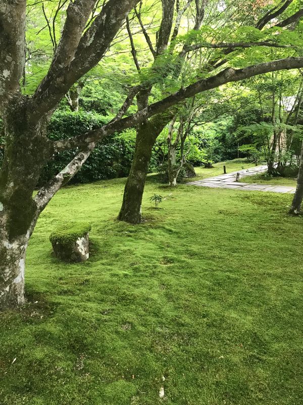 日本・京都府「西方寺」の写真