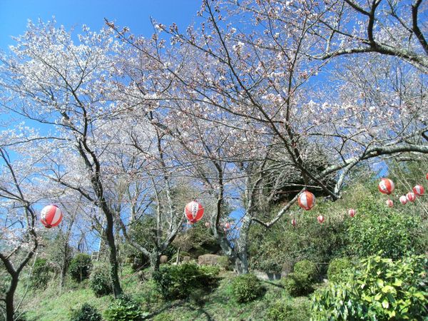 日本・福島県いわき「20140405福島県湯本駅」の写真