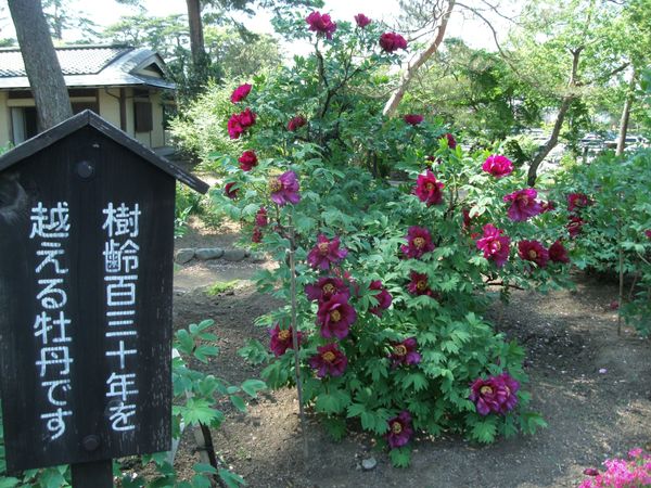 日本・福島県須賀川「20140510福島県須賀川駅」の写真