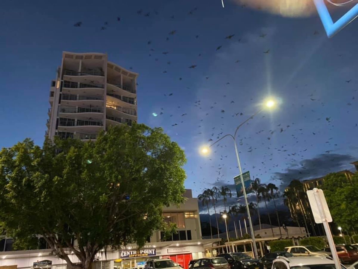 1)ケアンズパンフレットでよく見る公共プール。
2)紫外線量はextrem...