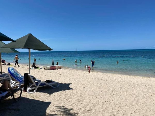 オーストラリア連邦・ケアンズ「GBRダイビングとグリーン島とキュランダ」の写真：1)ここからシュノーケルしてきました。凄...