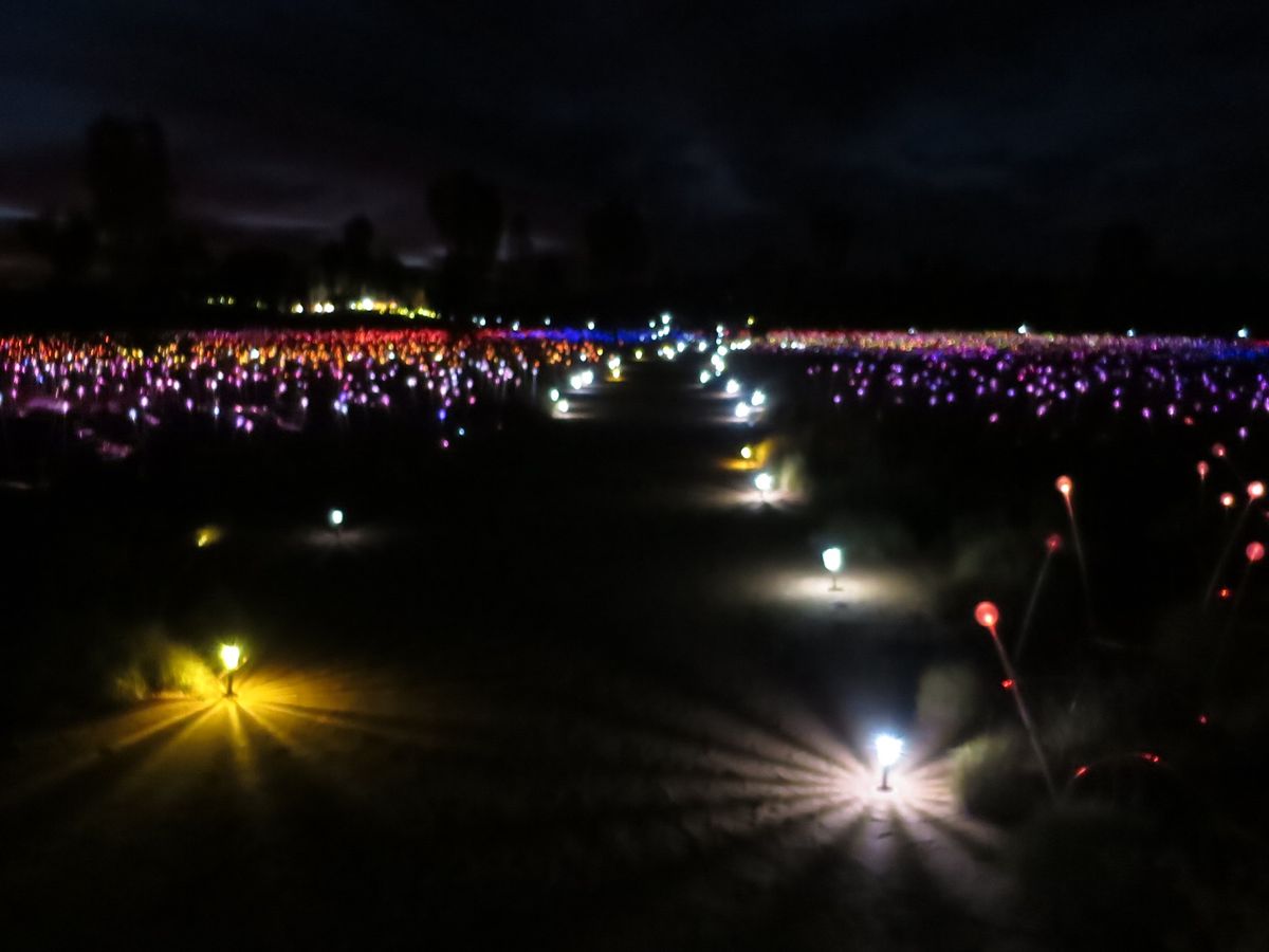 ベルトラで夕焼けのウルルと光のイベントのツアーに予約したら、日本人が1人も...