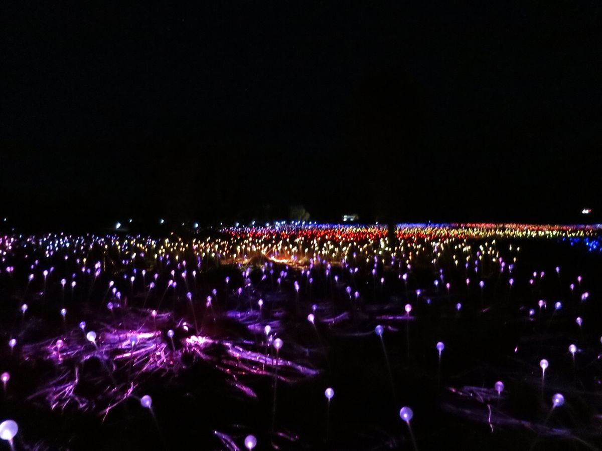 ベルトラで夕焼けのウルルと光のイベントのツアーに予約したら、日本人が1人も...