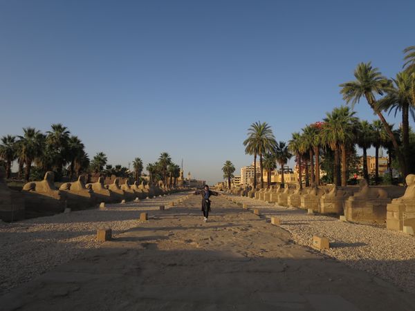 エジプト・カイロ「エジプトおひとりさま限定ツアー」の写真：1)ルクソール神殿に続く道はとても広く、...