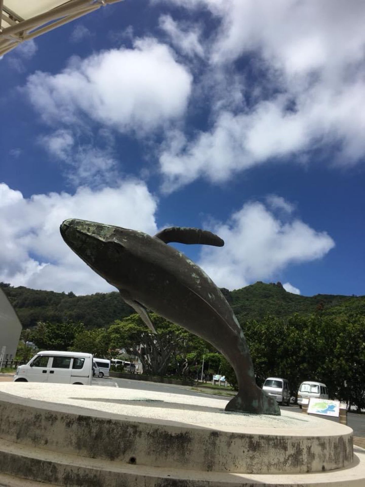 1)南島。本当はこの何日かは波が高くてどのツアーも行けてないけど、ダイビン...