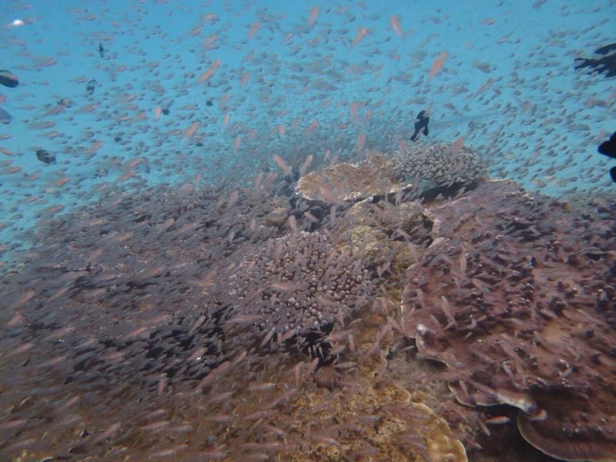 1)ミステリーサークルの周りにはこうやってカメラが置いてありました。1番良...