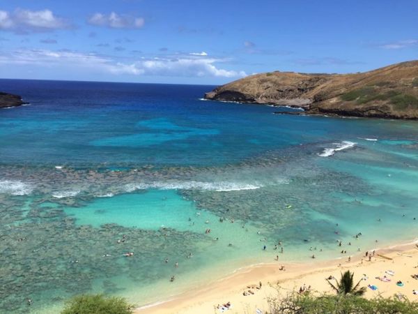 アメリカ(米国)・ハワイ「ハワイ」の写真