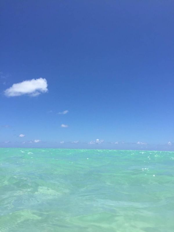 アメリカ(米国)・ハワイ「ハワイ」の写真