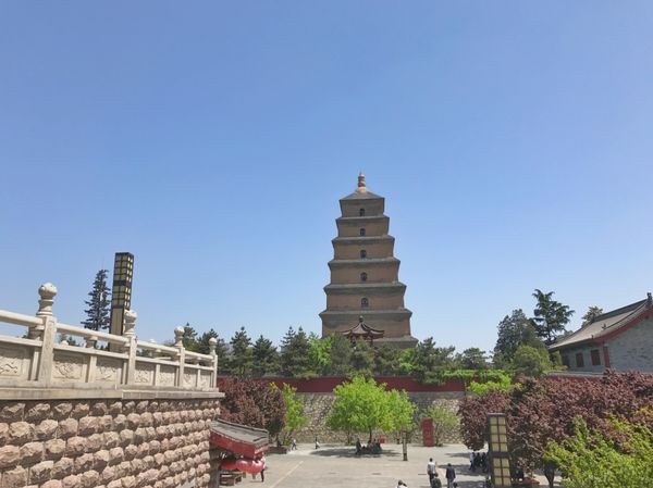 中国・上海「China🇨🇳job⚑⁎∗」の写真：17th Apr. 2017 pic📷
...