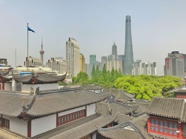 中国・上海「China🇨🇳job⚑⁎∗」の写真：18th Apr. 2017 pic📷
...